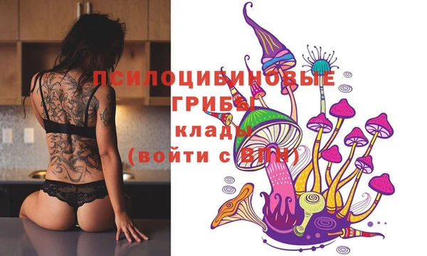 твердый Алзамай