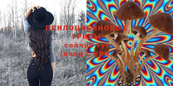 хмурый Алексин