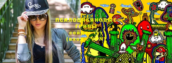 прущая мука Арсеньев