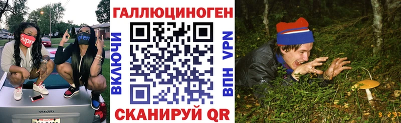 наркотики  Балабаново  Галлюциногенные грибы Cubensis 