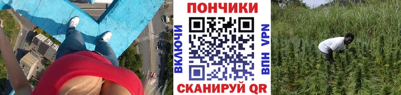 наркотики  Балабаново  Бошки марихуана семена 